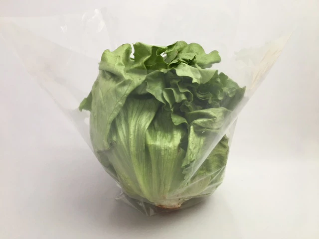 【レタス特大サイズ】新製品 お試し品 オリジナル レタス 特大 向け OPP ボードン 無地 三角袋 0.02×上幅450/下幅300×長400mm 【100枚】【1000枚】レタス キャベツ ブロッコリー 底広 穴なし水抜き付  プラマークなし 防曇袋 野菜袋 出荷袋 三角 OPP ボードン