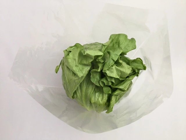 【レタス特大サイズ】新製品 お試し品 オリジナル レタス 特大 向け OPP ボードン 無地 三角袋 0.02×上幅450/下幅300×長400mm 【100枚】【1000枚】レタス キャベツ ブロッコリー 底広 穴なし水抜き付  プラマークなし 防曇袋 野菜袋 出荷袋 三角 OPP ボードン