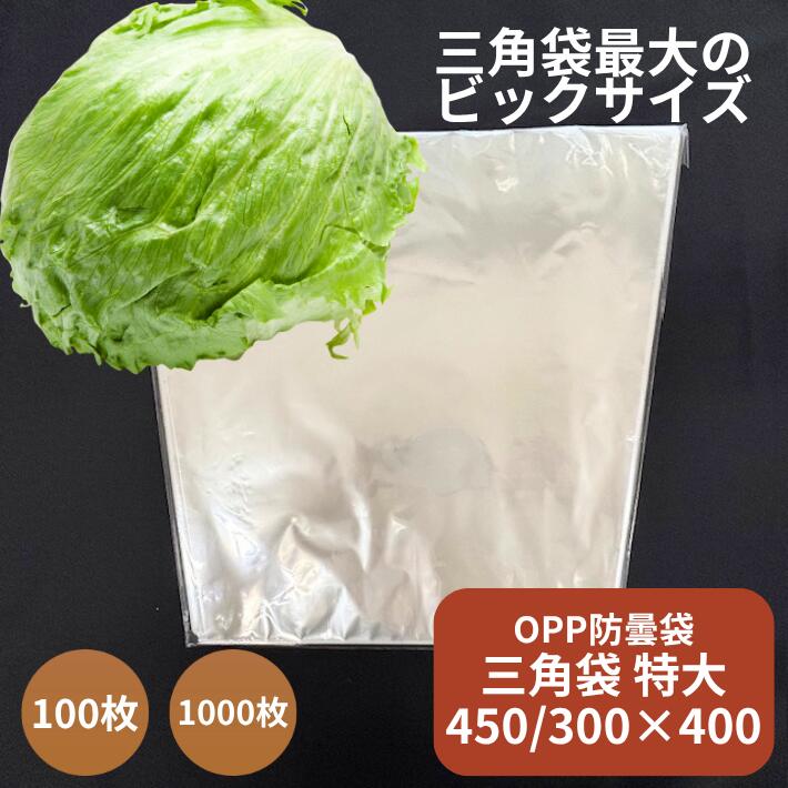 レタス特大サイズ】新製品 お試し品 オリジナル レタス 特大 向け OPP