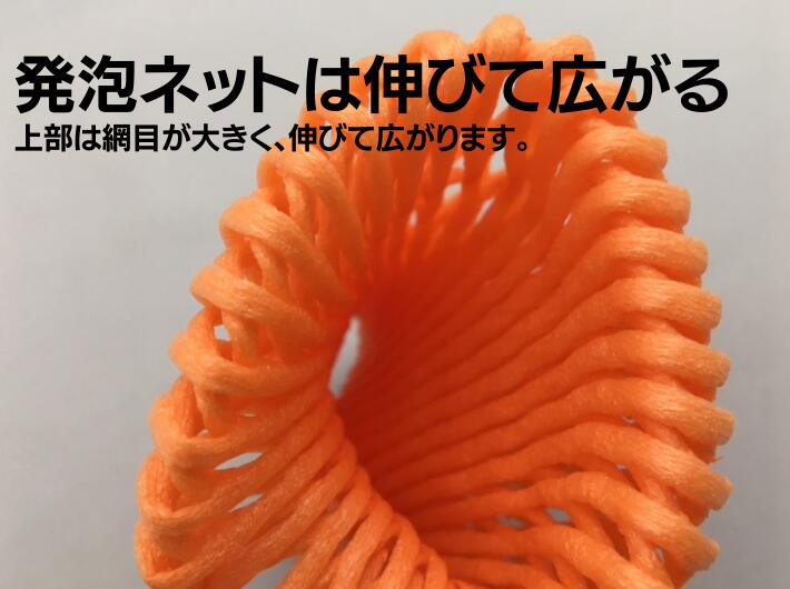 在庫限り バイオ フルーツキャップ TSW-9 オレンジ 【ダブル】9cm【100