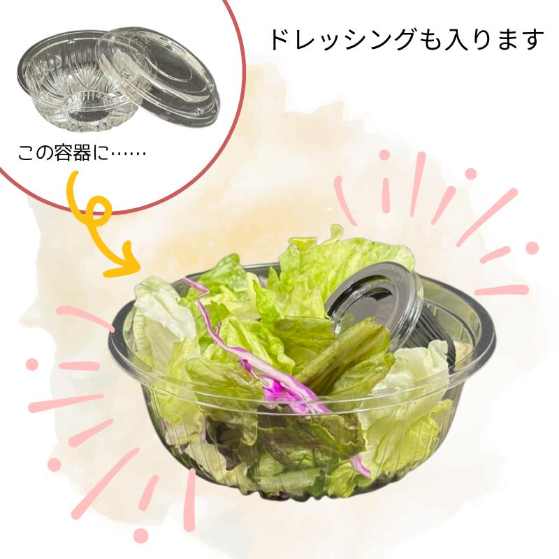 バカラレア物！直径約25.5cmのBIGなアルクールシリ－ズ2重のサラダボウル。 クリーンボール 大 透明 直径180×高70mm 蓋高24mm 100枚 本体 蓋・本体