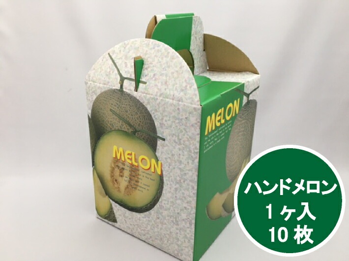 M ハンドメロン 1ヶ入 10枚 内寸:縦155×横155×高195 mm 中敷付 3070