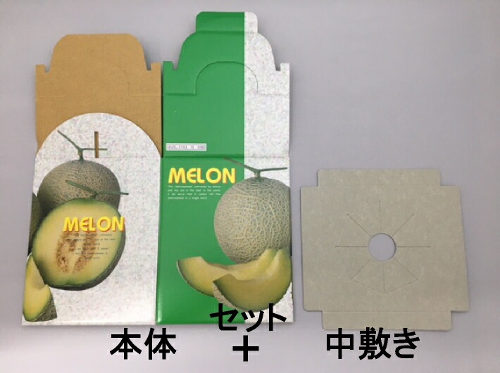 まめ　メロン① 2025年受付終了】JAとまこまい広域 アサヒメロン秀品約1.6㎏×2玉《7月