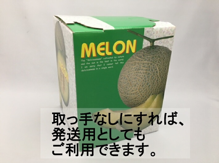 M ハンドメロン 1ヶ入 10枚 内寸:縦155×横155×高195 mm 中敷付 3070