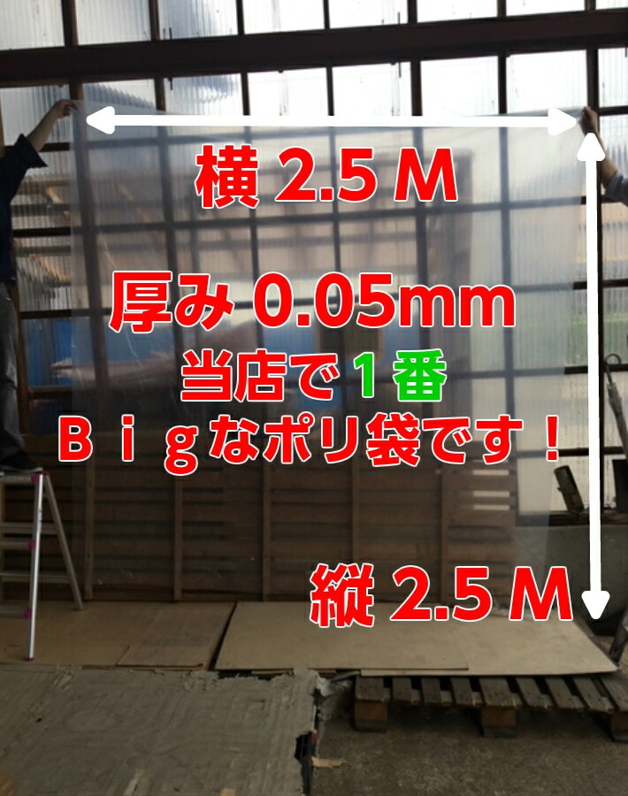 ケース】ポリ袋 0.05×2500×2500mm【20枚】 オリジナル透明 厚手 超特大