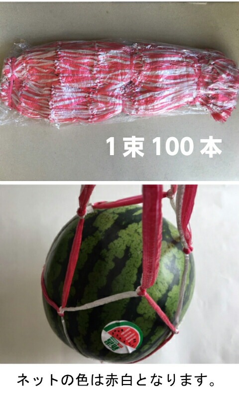 すいかネット【赤白】 中玉・大玉用 【100本】 68cm太手 西瓜