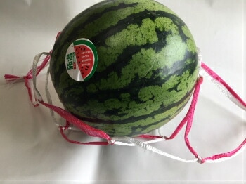 すいかネット【赤白】 中玉・大玉用 【100本】 68cm太手 西瓜 ネット