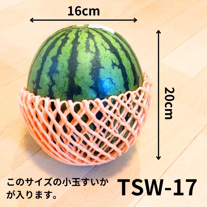 果物 10 001003000005_sFOUztP.jpg