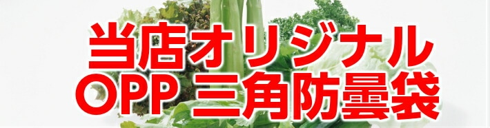 まりぽよん様確認ページ ミントモール / MINT 立川店 / 2024 BBM 千葉ロッテマリーンズ