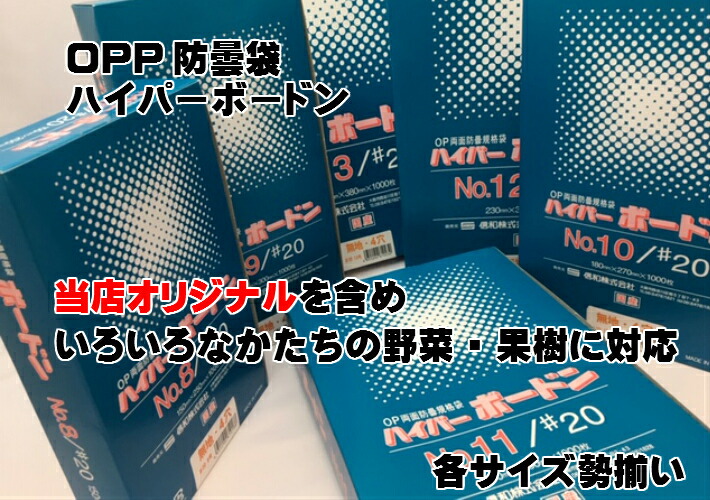 ボードン袋　#20 10号 4Hプラ入180㎜×270㎜　5000枚　野菜袋 ケース】OPP ハイパーボードン #20 NO.10 【4穴】0.02×180×270mm