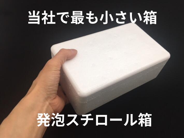 発泡ボックス TK-1 蓋付セット 保冷 ボックス 内寸187×96×55mm 発泡箱 保冷箱 クールBOX 保冷 発泡 保存 ボックス箱 軽い 釣り  アイス ジュース 缶 キャンプ ※保冷剤は別売り 外寸223×132×65mm | 保冷資材 | ふくろや公式通販