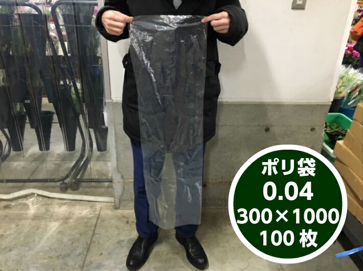 【オリジナル】ポリ袋 0.04×300×1000mm【100枚】　長物 ポリ 透明 長人参 農家 土付きねぎ 長ネギ 土ねぎ 真鱈 鮭 葱 牛蒡 0.04 300×1000 ビニール ビニール袋 業務用 プロ 包装 平袋 保存 収納 保管 日本製