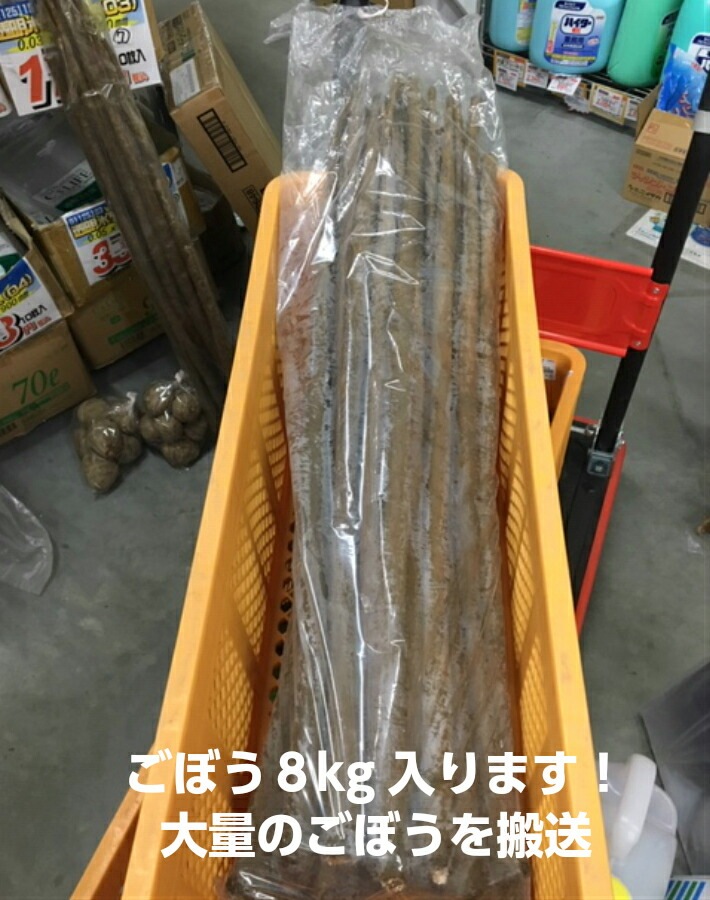 【オリジナル】ポリ袋 0.04×300×1000mm【100枚】　長物 ポリ 透明 長人参 農家 土付きねぎ 長ネギ 土ねぎ 真鱈 鮭 葱 牛蒡 0.04 300×1000 ビニール ビニール袋 業務用 プロ 包装 平袋 保存 収納 保管 日本製