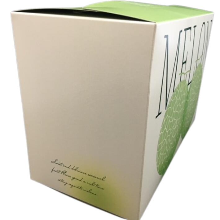 フレデリメロン 2ケ入 メロン箱 信和 【10枚】 横295×縦145×高195mm