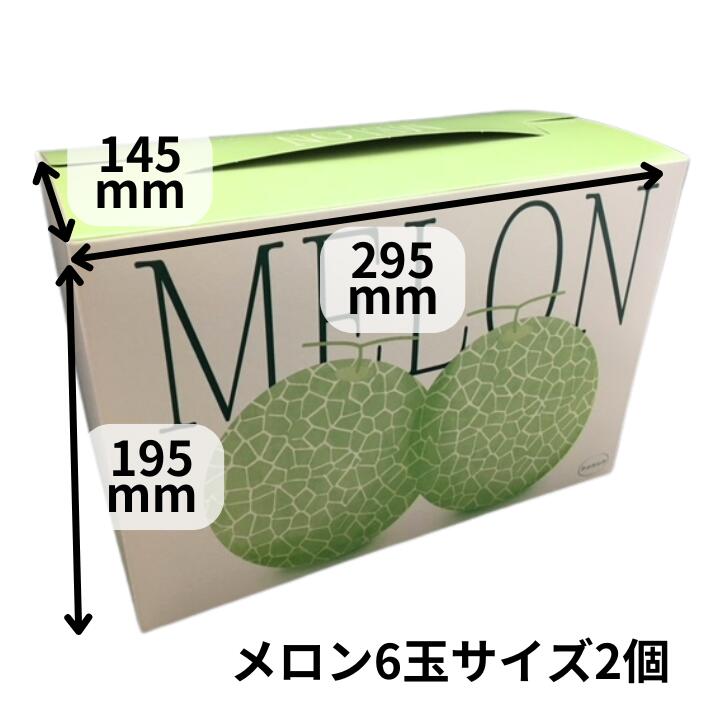 フレデリメロン 2ケ入 メロン箱 信和 【10枚】 横295×縦145×高195mm