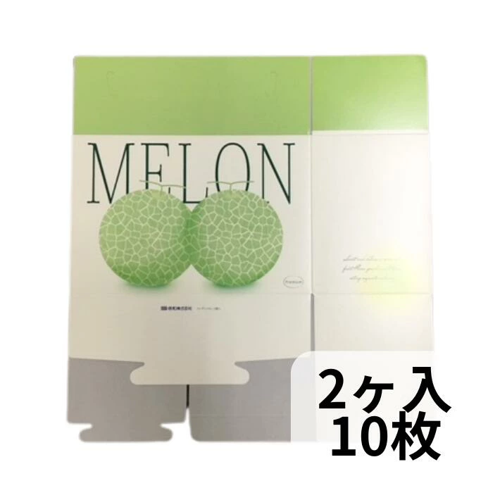 フレデリメロン 2ケ入 メロン箱 信和 【10枚】 横295×縦145×高195mm