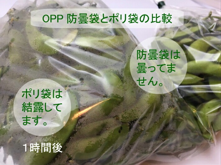 葉物野菜用　無地OPP袋 4500枚セット 100枚毎の包装 OPP ハイパーボードン #20 NO.15 【4穴】 0.02×300×450mm 【500枚