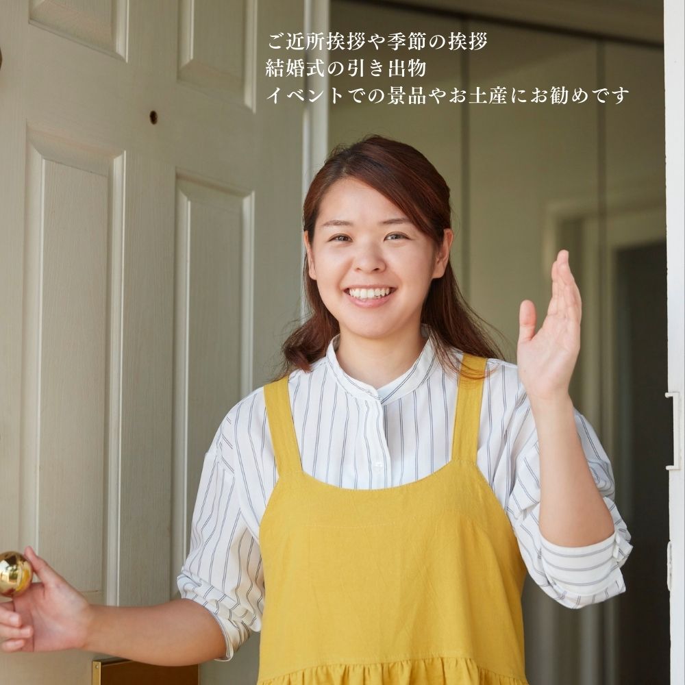 ギフト用紙袋(小) だしパック1袋サイズ ご近所挨拶 手土産 お渡し用