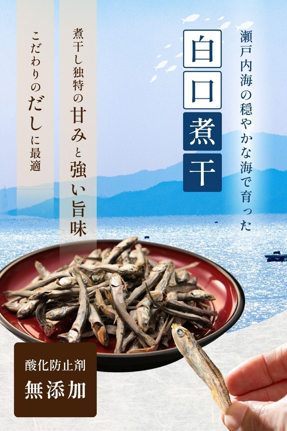 瀬戸内煮干し 1kg 小中羽（5cm～8cm） ( 酸化防止剤 無添加 / 1kg / お