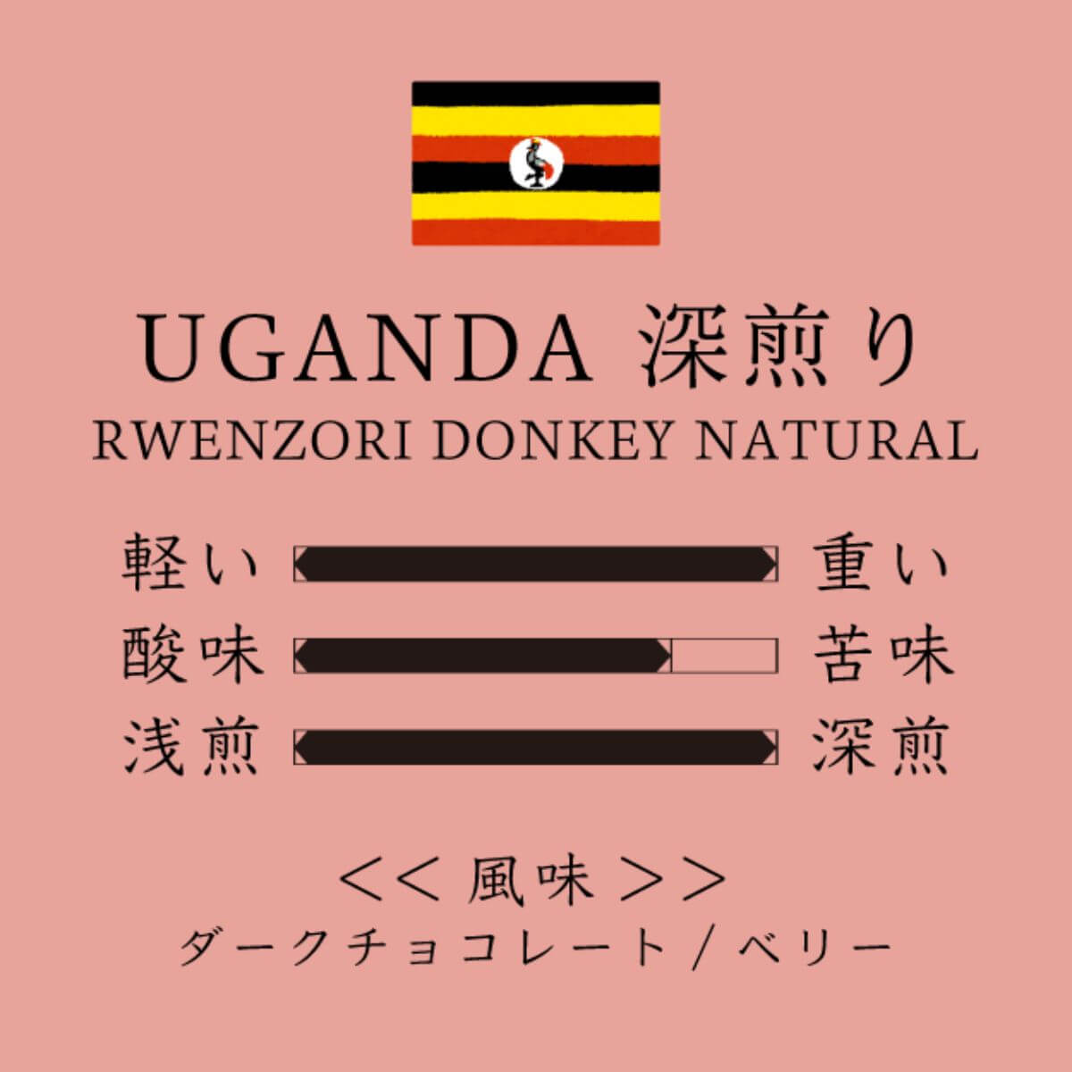 Uganda Rwenzori Donkey Natural 深煎り