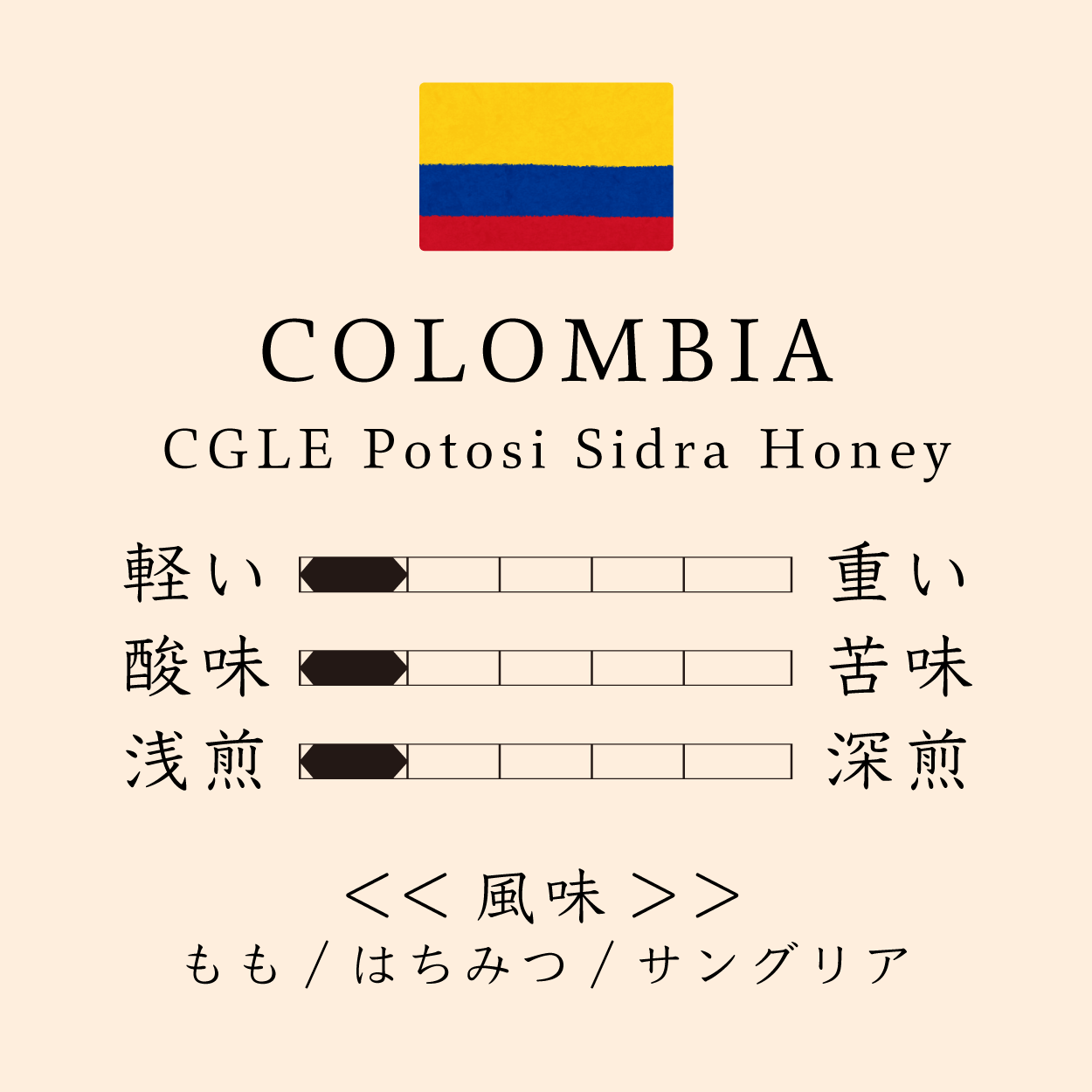 コーヒー豆福袋-浅煎り 100g×2種