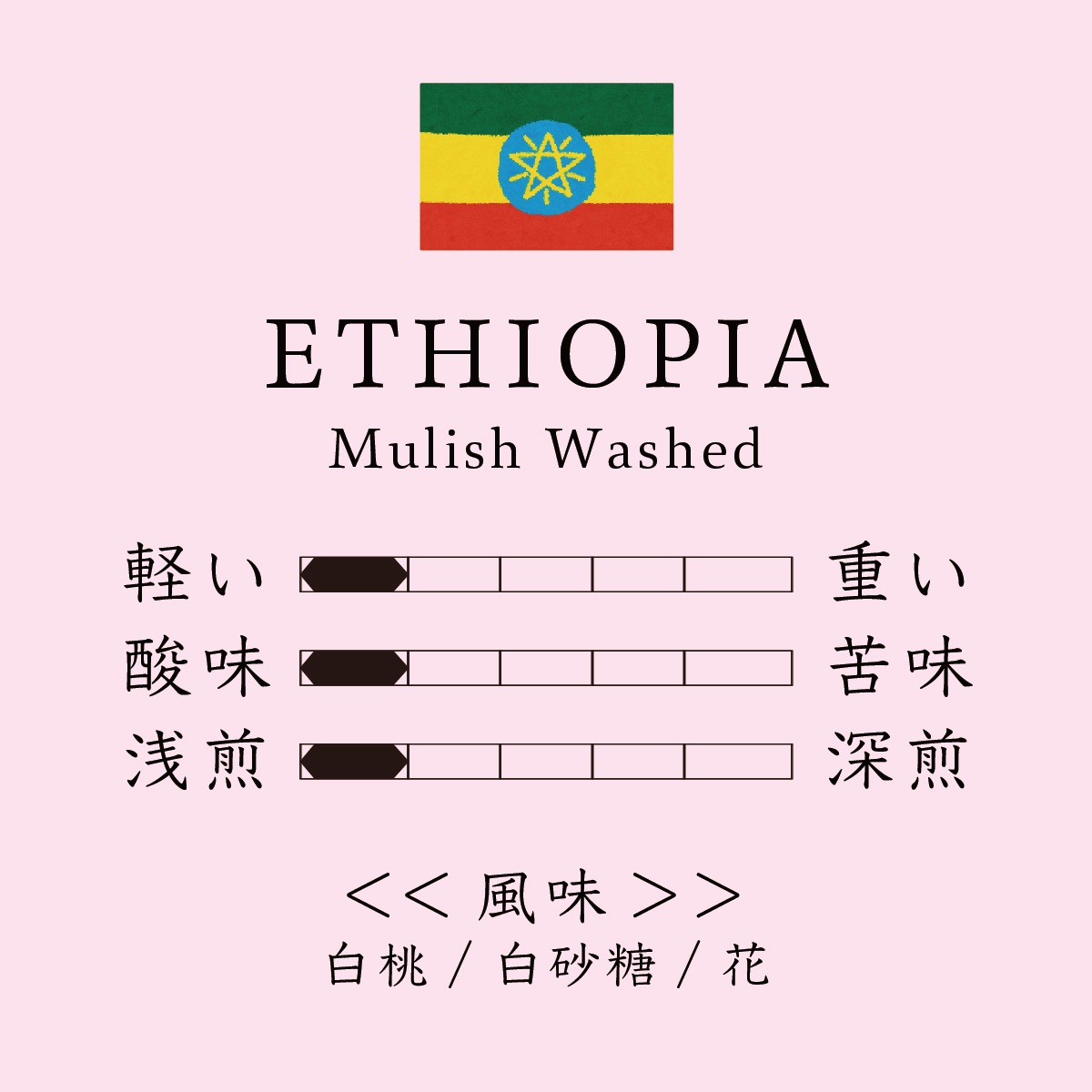 Ethiopia Mulish Washed