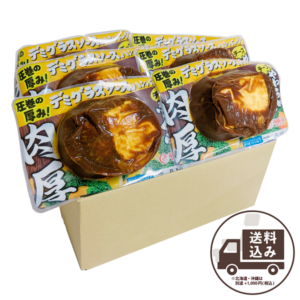 �����ϥ�С������å�(������)