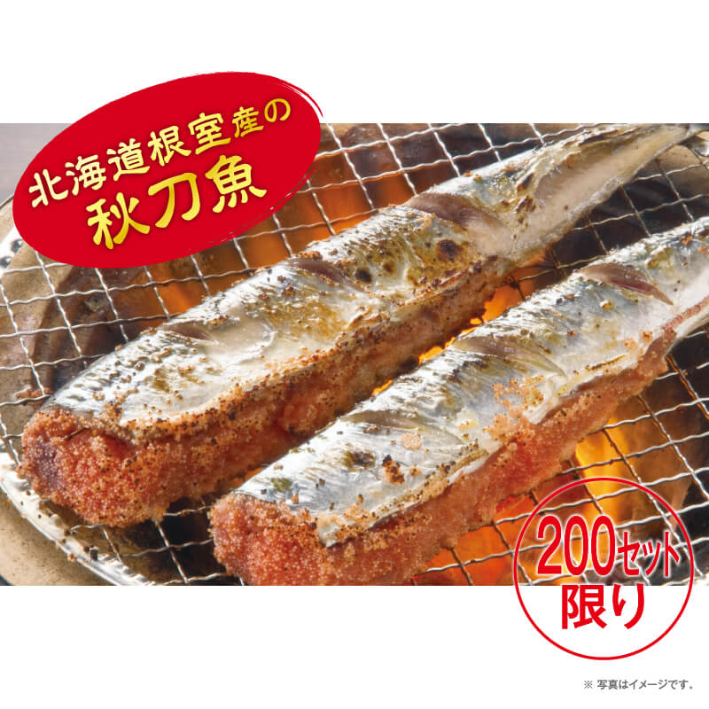 ҡ3200åȸڤޤ 2023δպסMSM-15