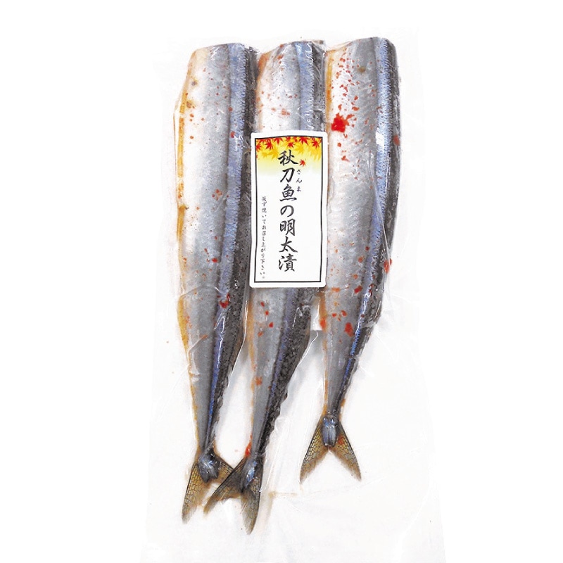 ҡ3200åȸڤޤ 2024δպסMSM-15