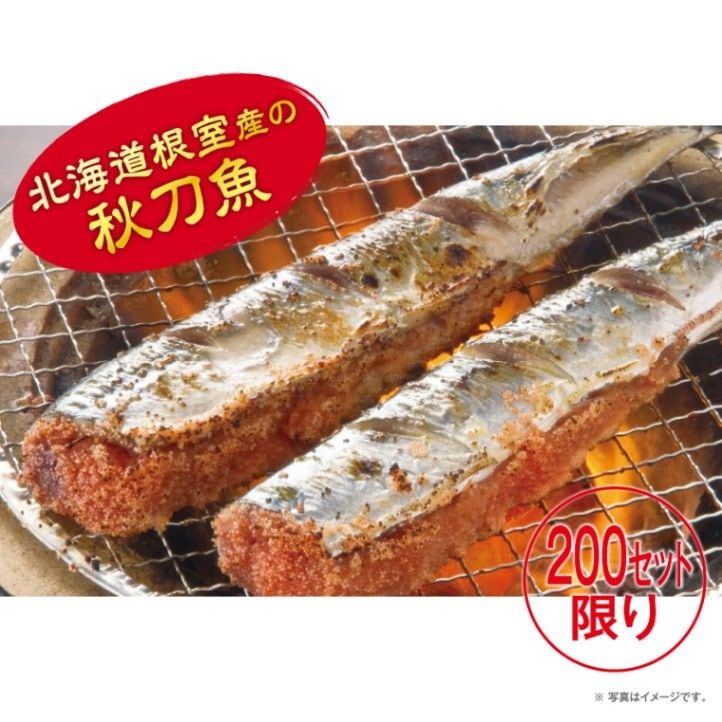 ������������ҡ�3����200���åȸ���ڤդ��� 2025�������϶Ⱥס�SM-15