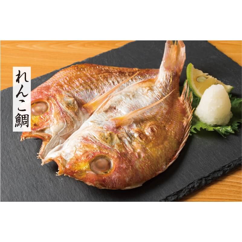 ���� �켮���� �͹礻�Կ��̸���� MDA-40�ڤޤ��� ���渵��Ŭ��2024��