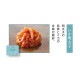 ڤդ١¿̣6RM-06
