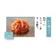 ¿̣12ˡڤޤ 2024빥ŬʡMRM-12