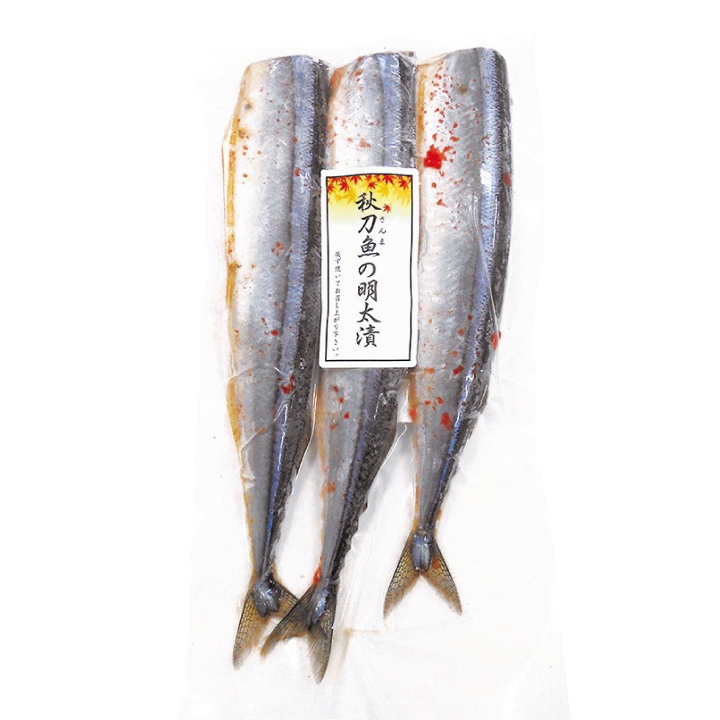 ҡ3200åȸڤդ 2024δպסSM-15