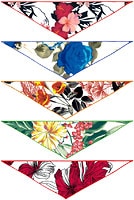 �Х����No.550���åȡʲ����ˡ�10������ں߸˸¤��