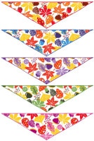 ХNo.719åȡʹˡ10ں߸˸¤