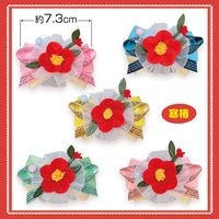 No.269ܥʴءˡ40ꡡñ60