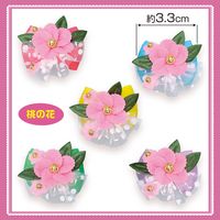 No.313桦ܥβ֡ˡ40ꡡñ48