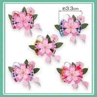 No.362���桦����ܥ�40�����ꡡñ����50