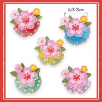 No.359���桦����ܥ�40�����ꡡñ����50