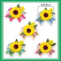 No.430���桦�Ҥޤ���ܥ�40�����ꡡñ����48