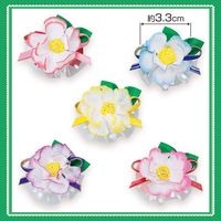 No.501�����ܥ�40�����ꡡñ����48