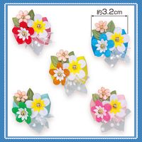 No.497�����ܥ�40�����ꡡñ����48