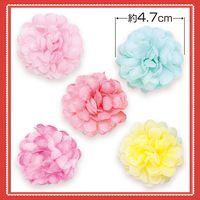 No.492�����ܥ�40�����ꡡñ����60