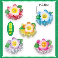 No.483���桦�ƥ�ܥ�����β֡ˡ�40�����ꡡñ����52