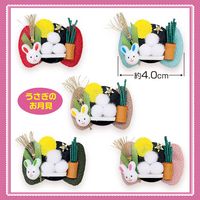 No.528���桦����ܥ�ʤ������Τ���ˡ�30������