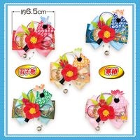 �������ܥ�N-926����ˡʱ����Ĥȴ��ءˡ�30������