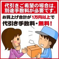 【第2類医薬品】クラシエ漢方 ベルエムピS192錠(新) [宅配便・送料無料] 「T60」|漢方薬|医薬品