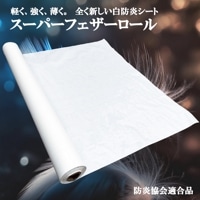 PEɱ ѡե 1.850 ­ξ  ݥꥨ ȿ