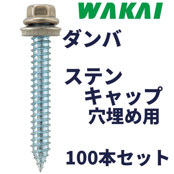ダンバ ステンキャップ 穴埋め用 100本/箱 6.2×45mm 6945ACZ 若井産業 [送料無料]